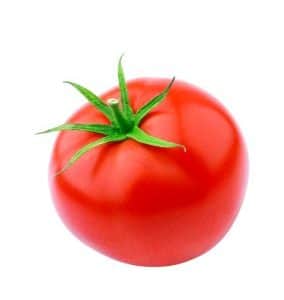 طماطم  كواريسما ف 1 Tomato Quaresma F1  